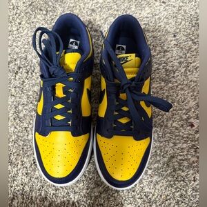 Nike Michigan 2021 Dunks